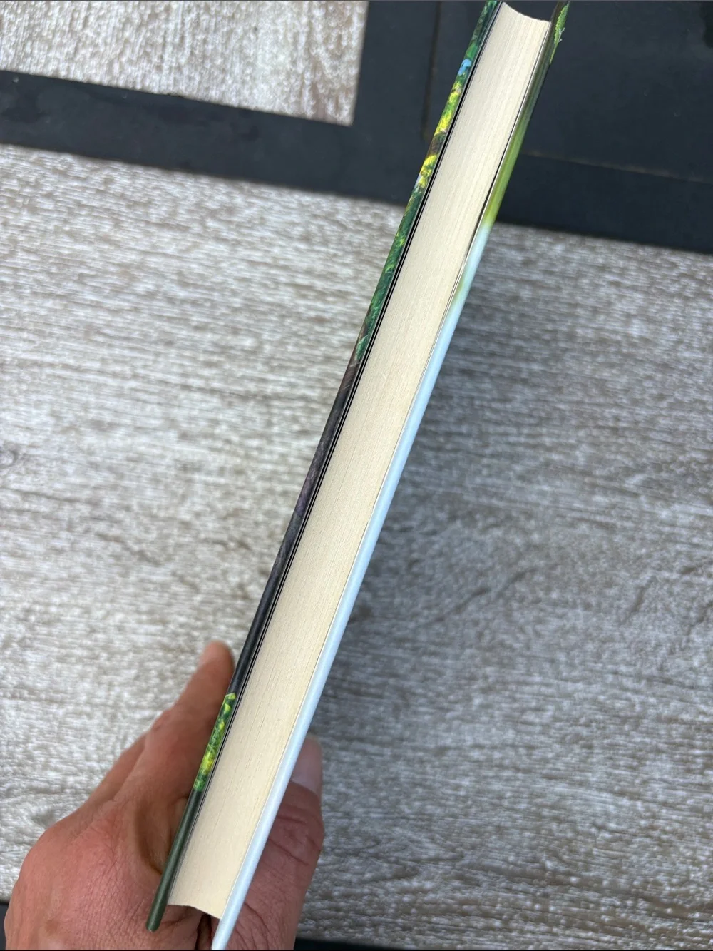 The Beauty of Aging Hardcover Book by - Green Cover